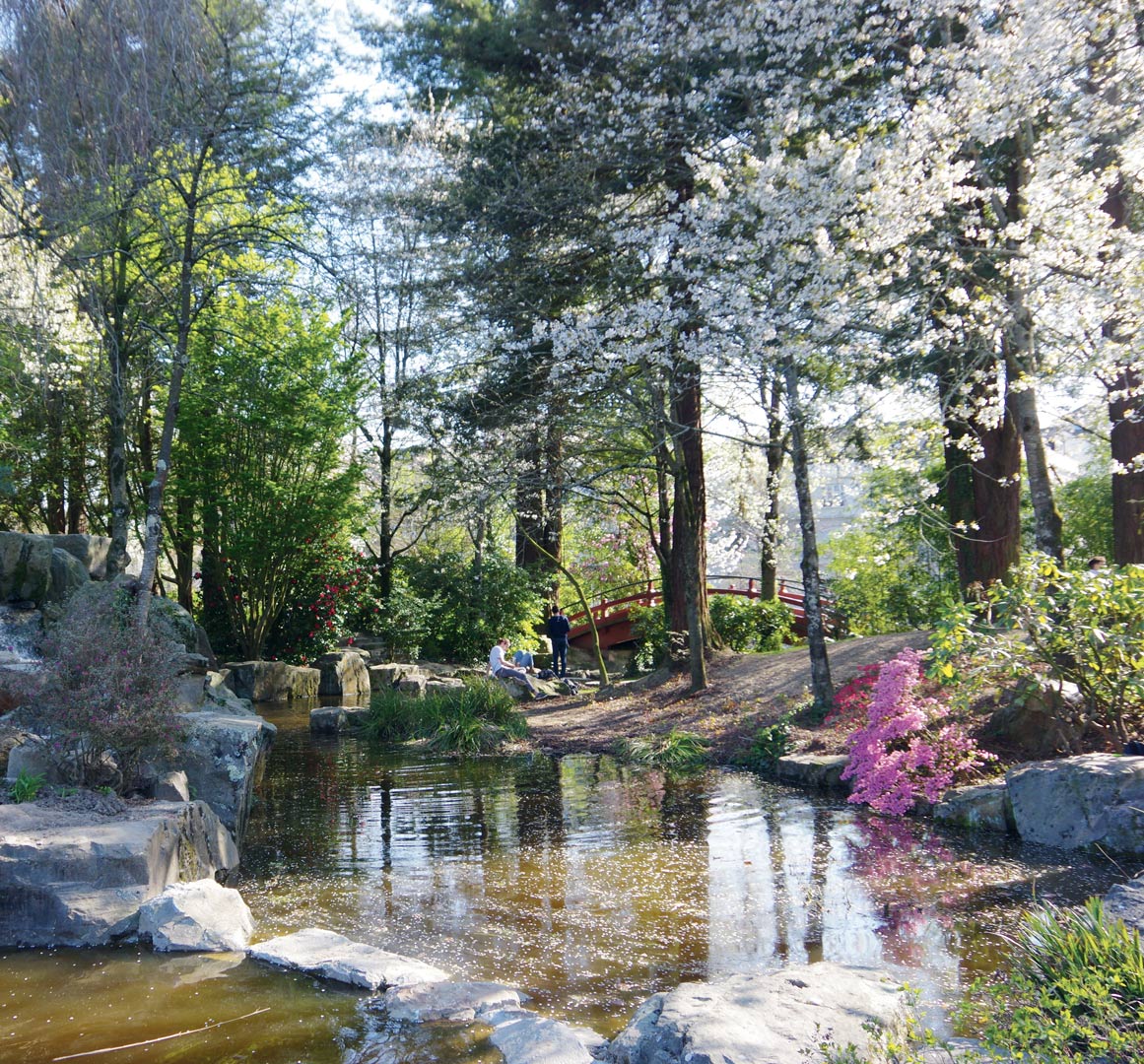 Photo de LES FESTIVES